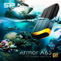 Silicon Power Armor A65