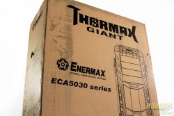 tmgiant01