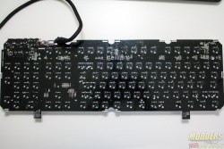 loberaspectrum16