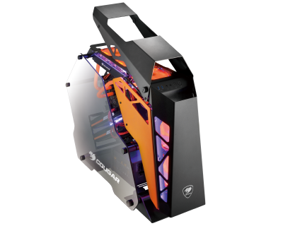 COUGAR-CONQUER-Case-2