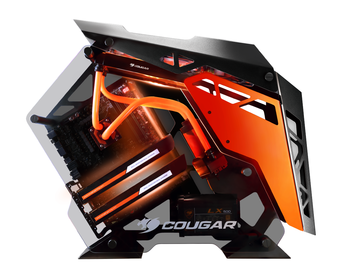 COUGAR CONQUER case