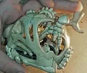 No Bones about it a Dog Skull Wireless Mouse Case Mod