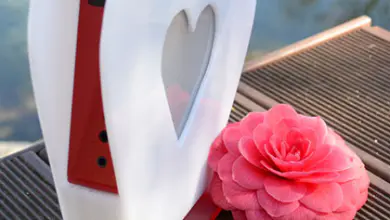 Valentine - Featured Case Mod 20 ValentineCaseMod