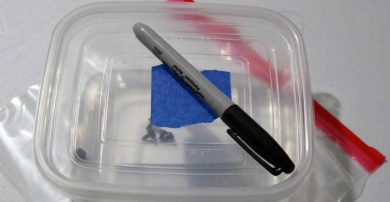 get organized