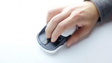 Tmouse Deformable Mouse
