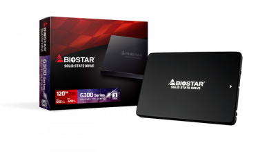 Biostar Expands to SSD Drives, Introduces Gaming G300 Series smi2256 1