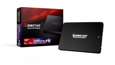 Biostar Expands to SSD Drives, Introduces Gaming G300 Series 15 Biostar Expands to SSD Drives, Introduces Gaming G300 Series tlc 1