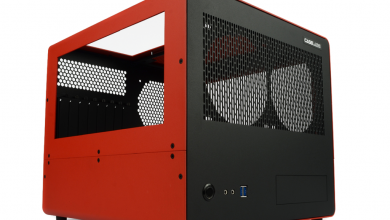 Caselabs Bullet BH8
