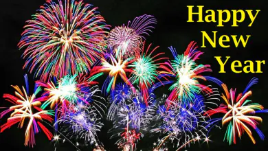 Happy New Year! 14 Happy new year 2018